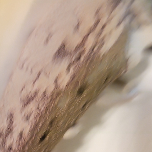 Adidas, Yeezy, Brown and Cream Sneakers with Snakeskin Print - Picture 5 of 7